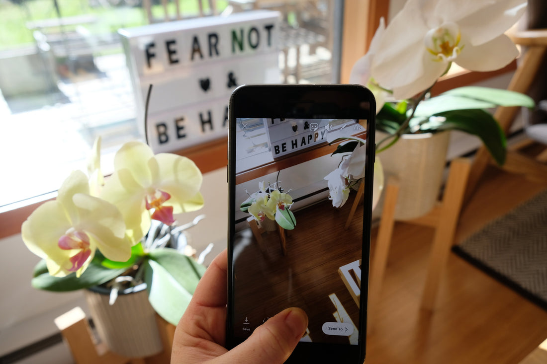 Accept the Algorithm — How Acceptance is Actually Your Greatest Digital Marketing Superpower
