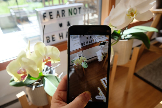 Accept the Algorithm — How Acceptance is Actually Your Greatest Digital Marketing Superpower